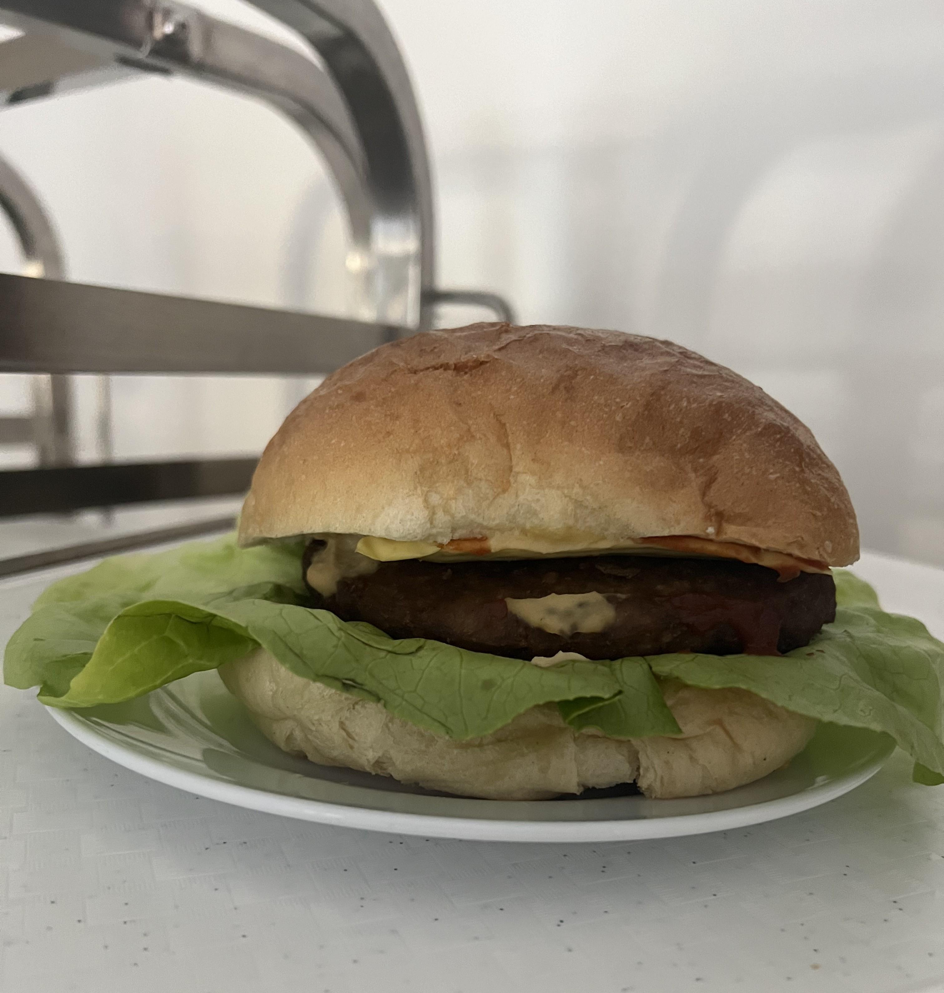Hamburger 8