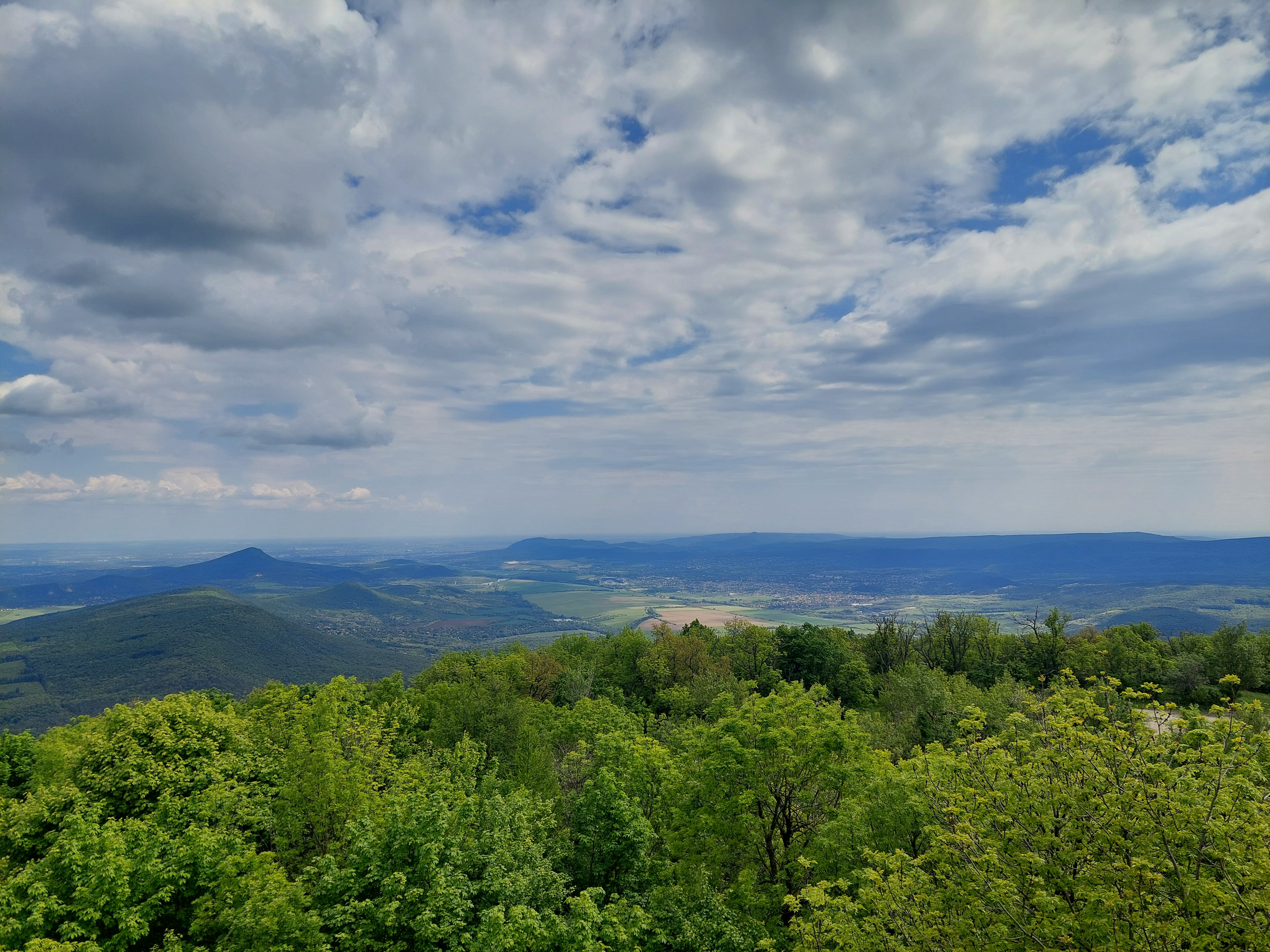 20250513_144625.jpg