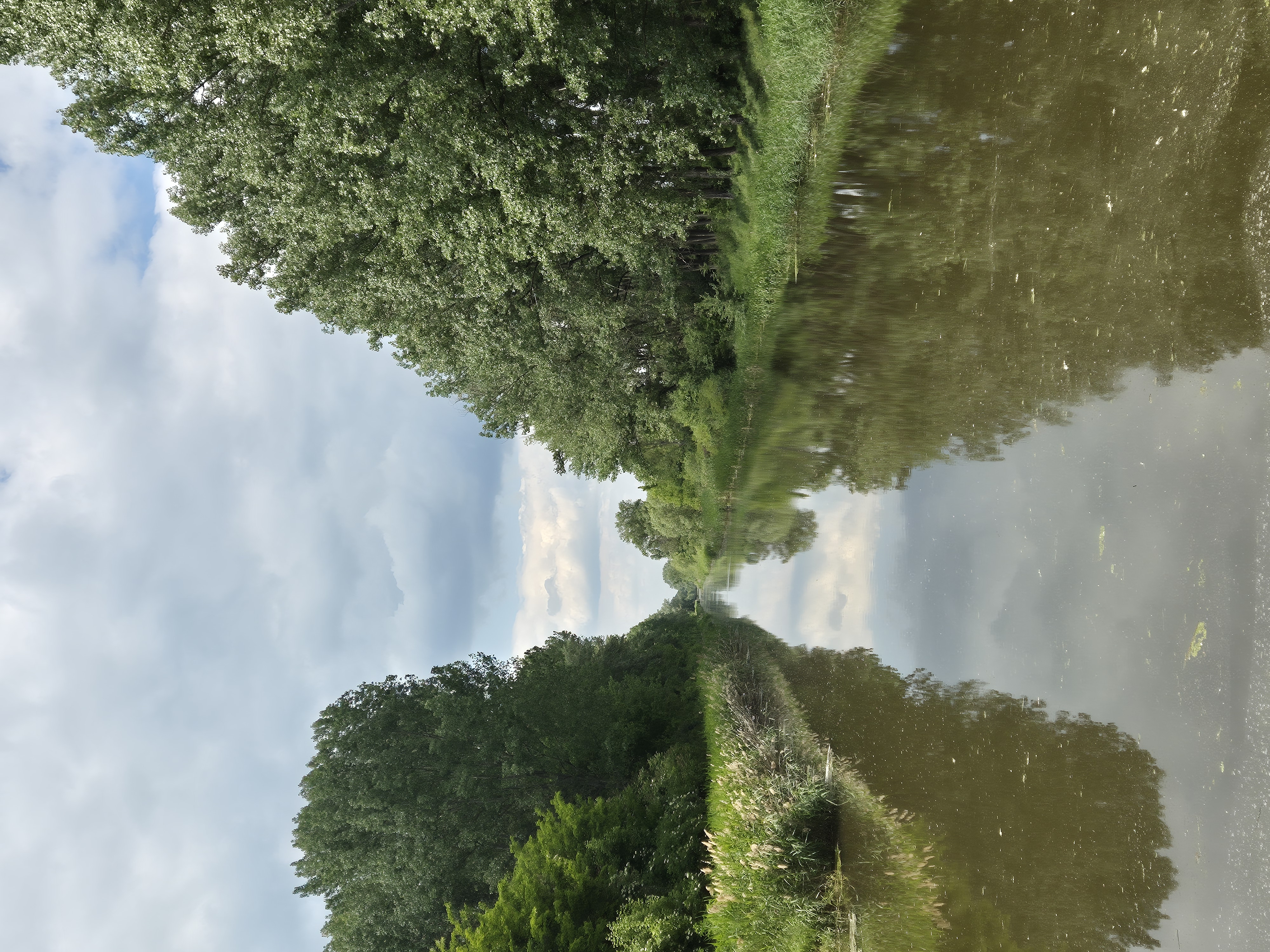 20250520_142949.jpg