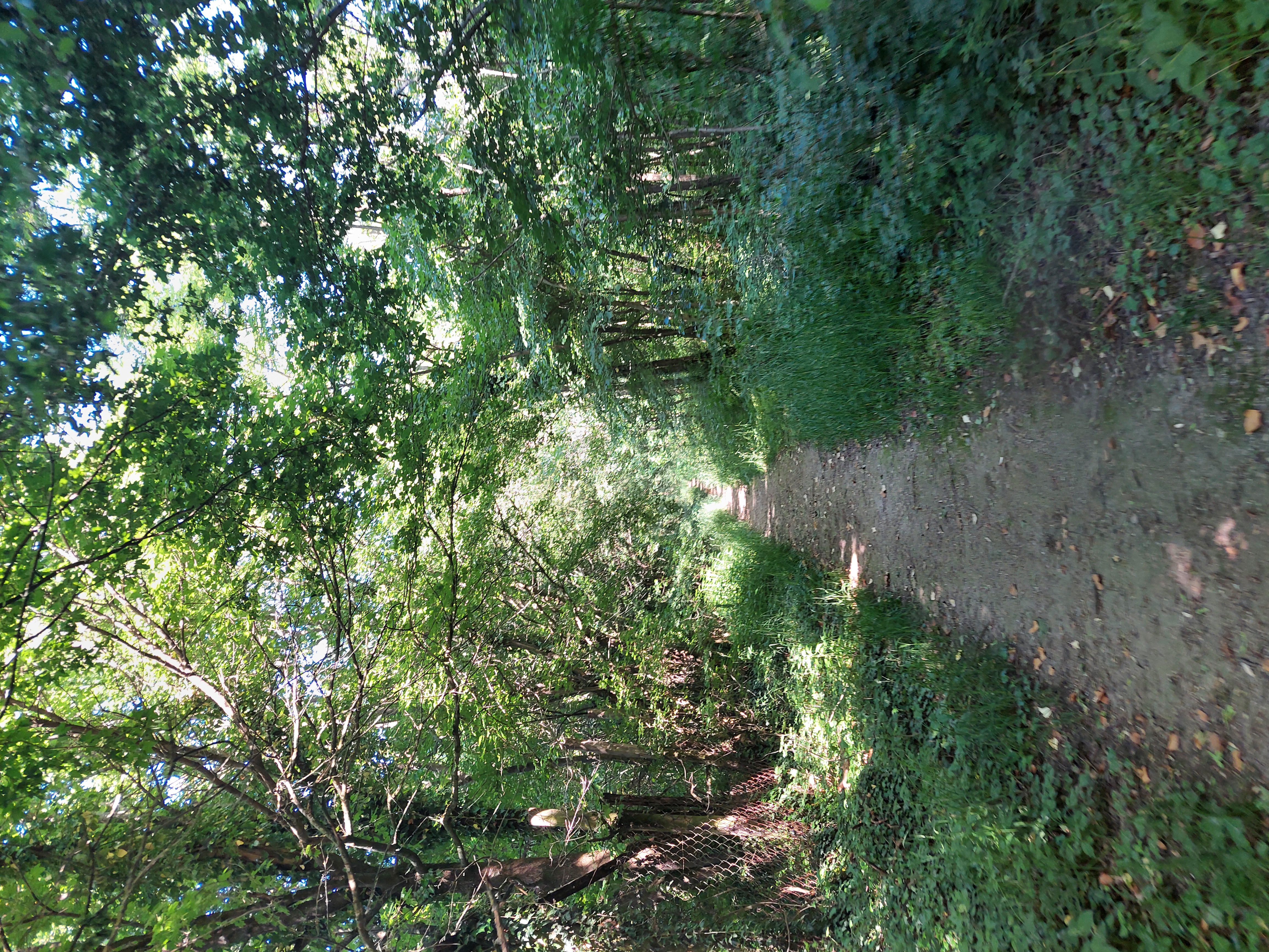 20250602_092514.jpg