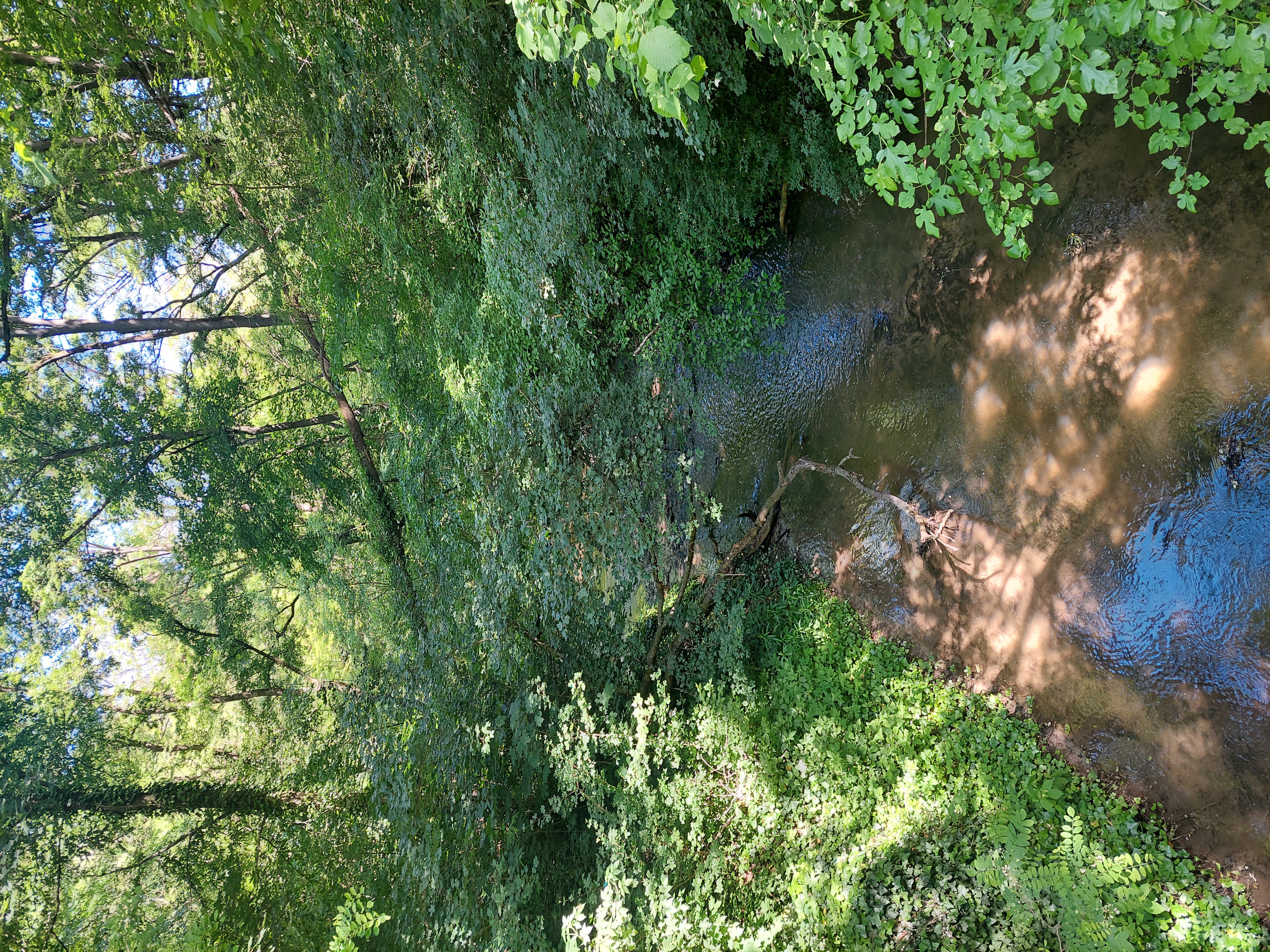 20250602_095248.jpg