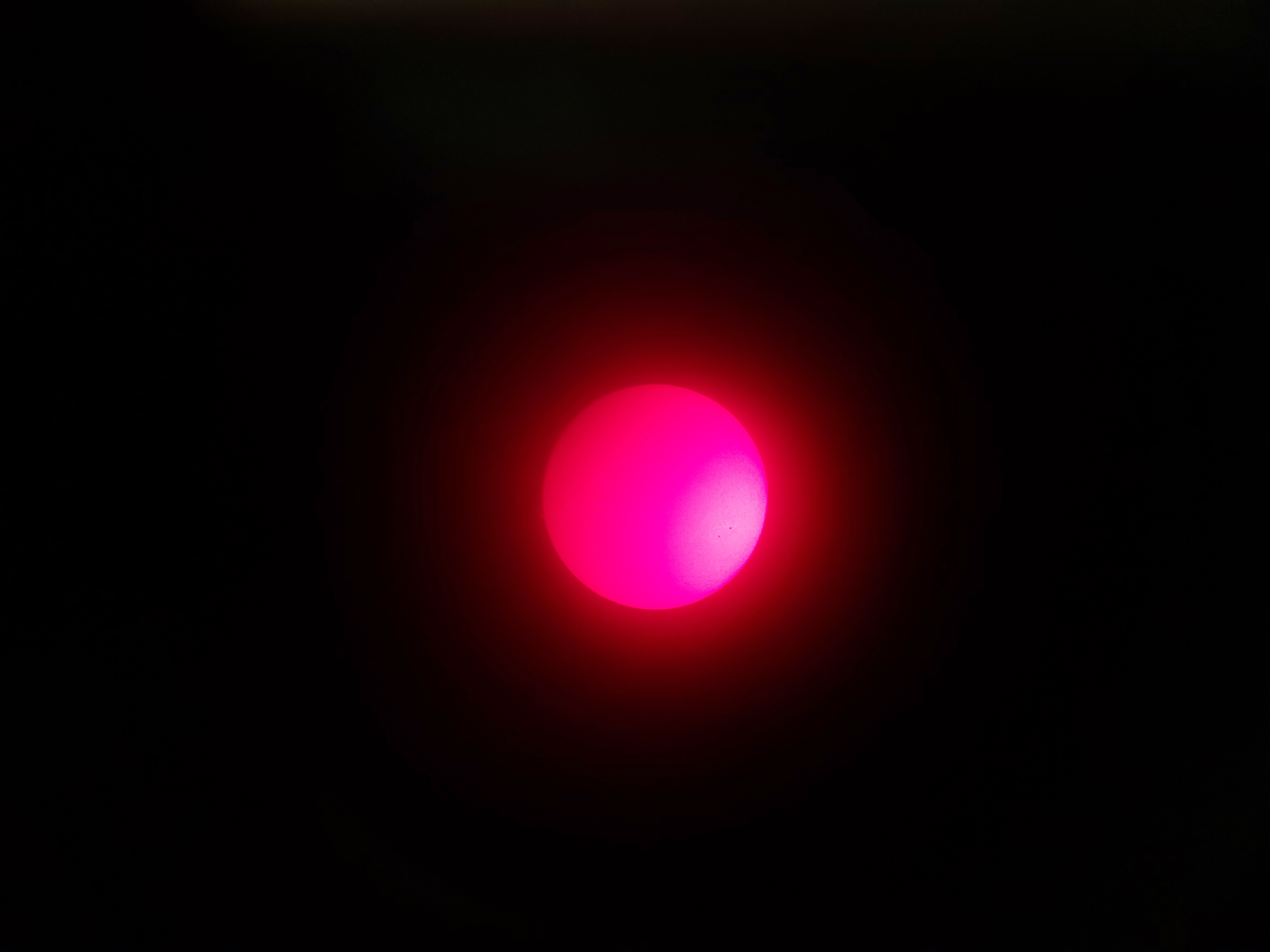 20250808_144509.jpg