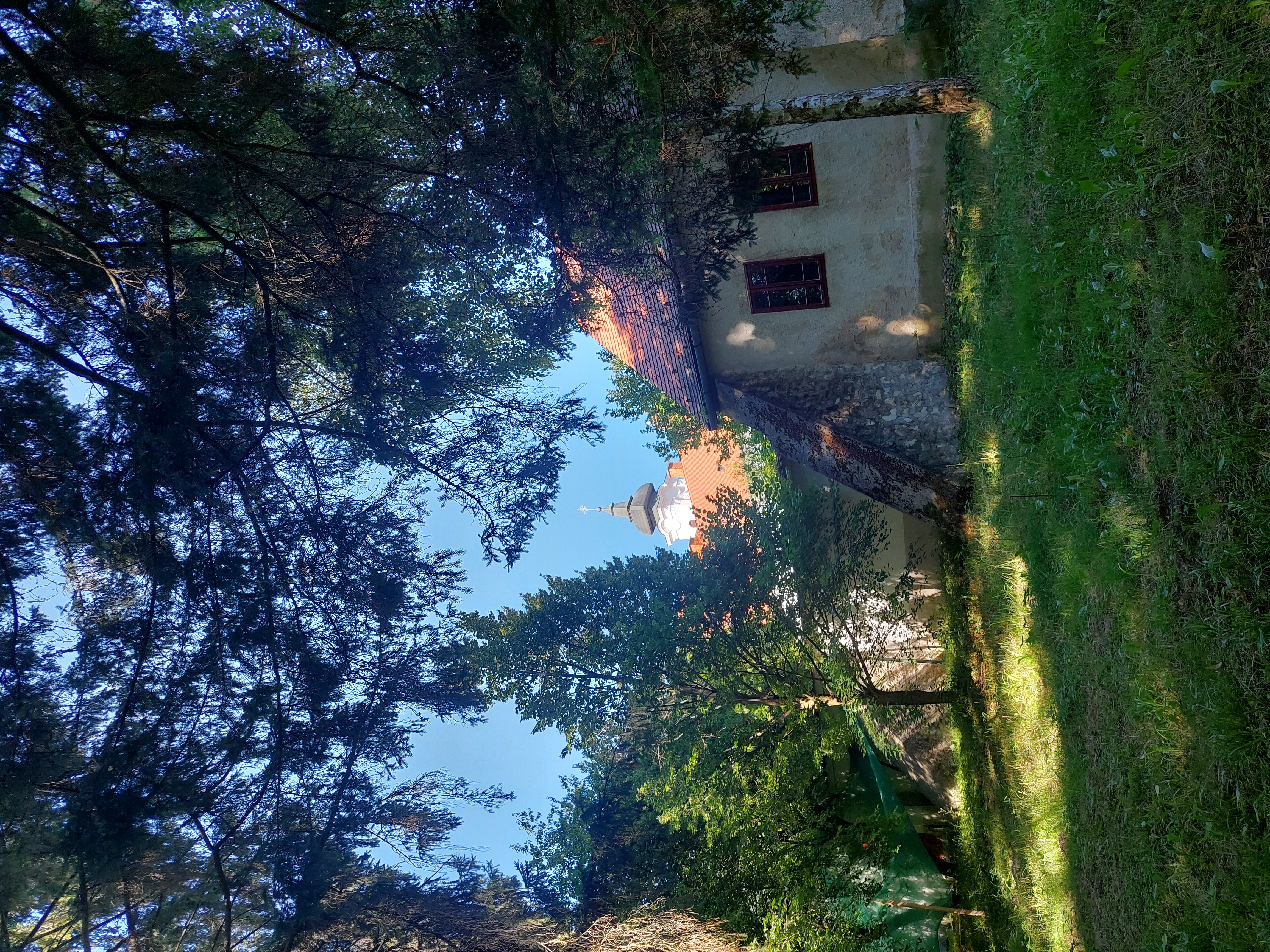 20250808_154905.jpg