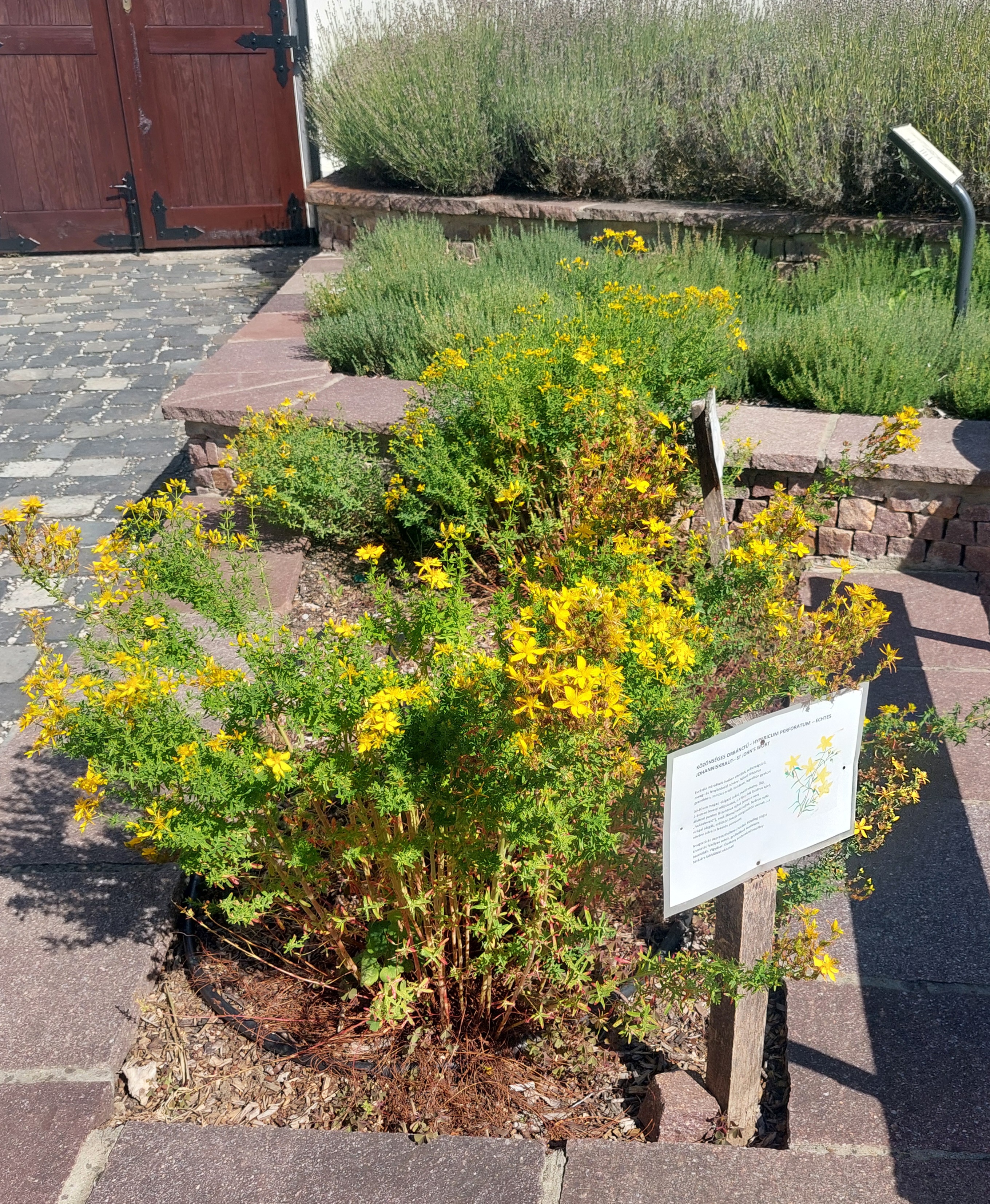 20250808_155521.jpg