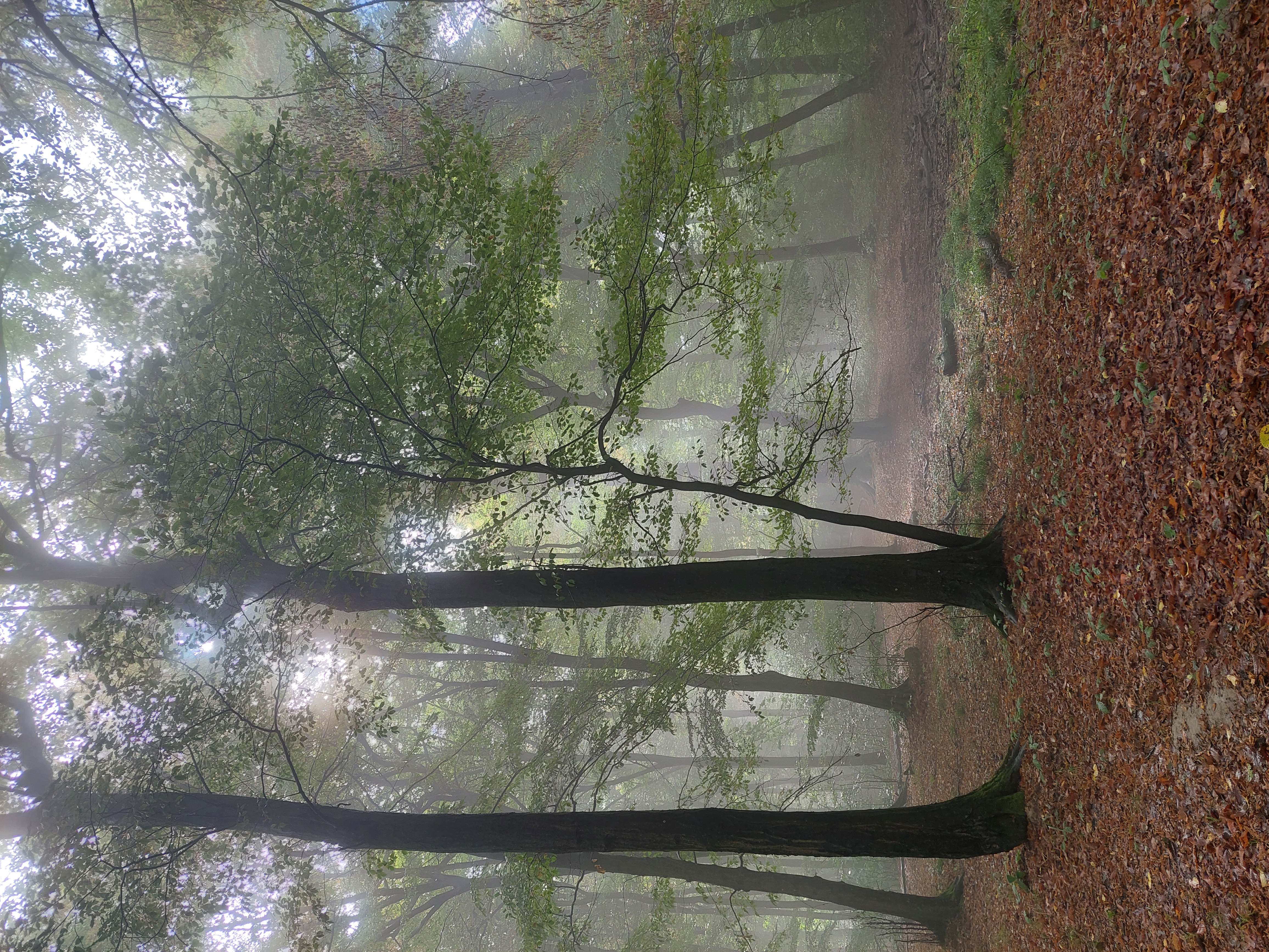 20251007_121854.jpg