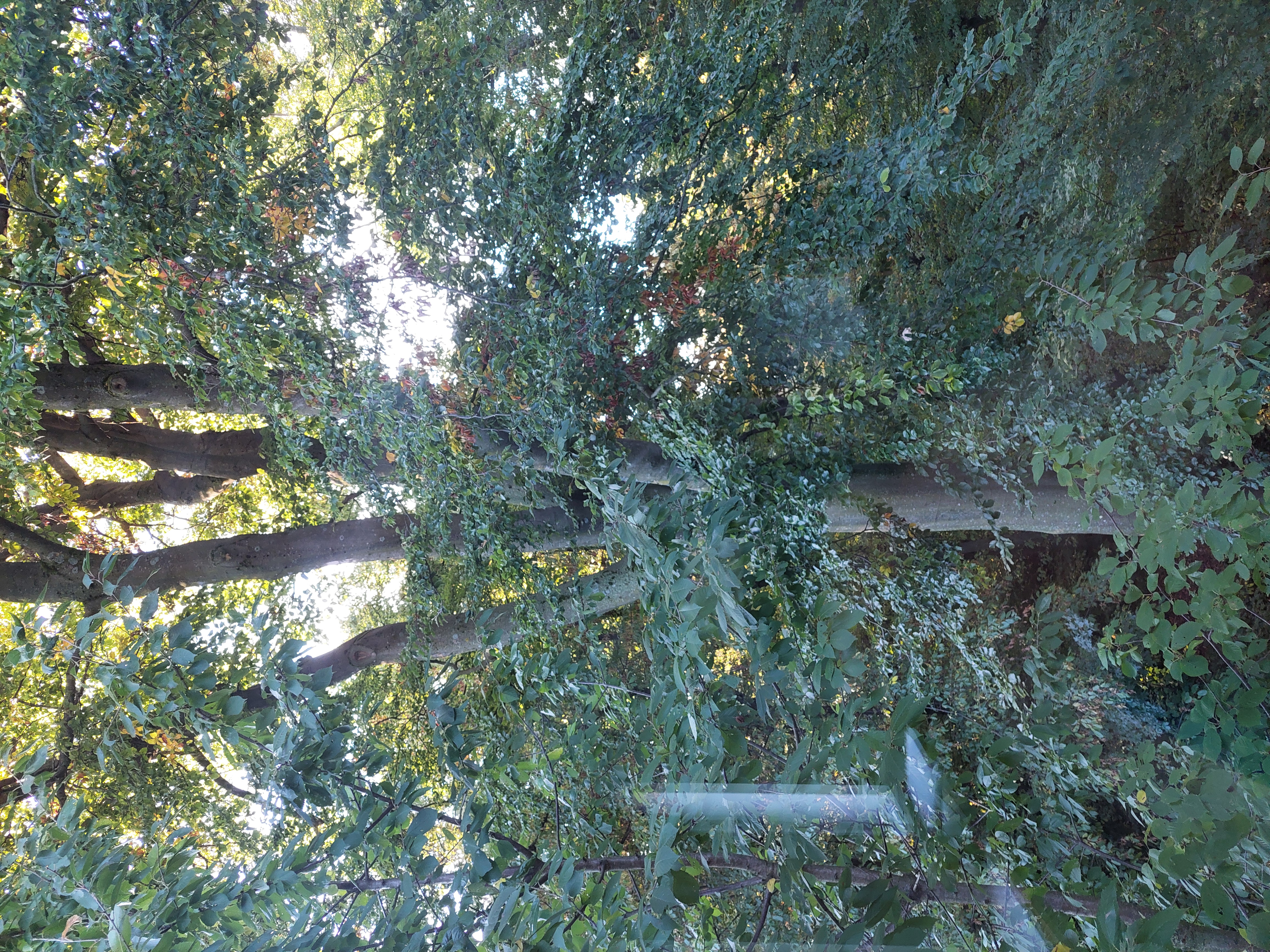 20251008_074924.jpg