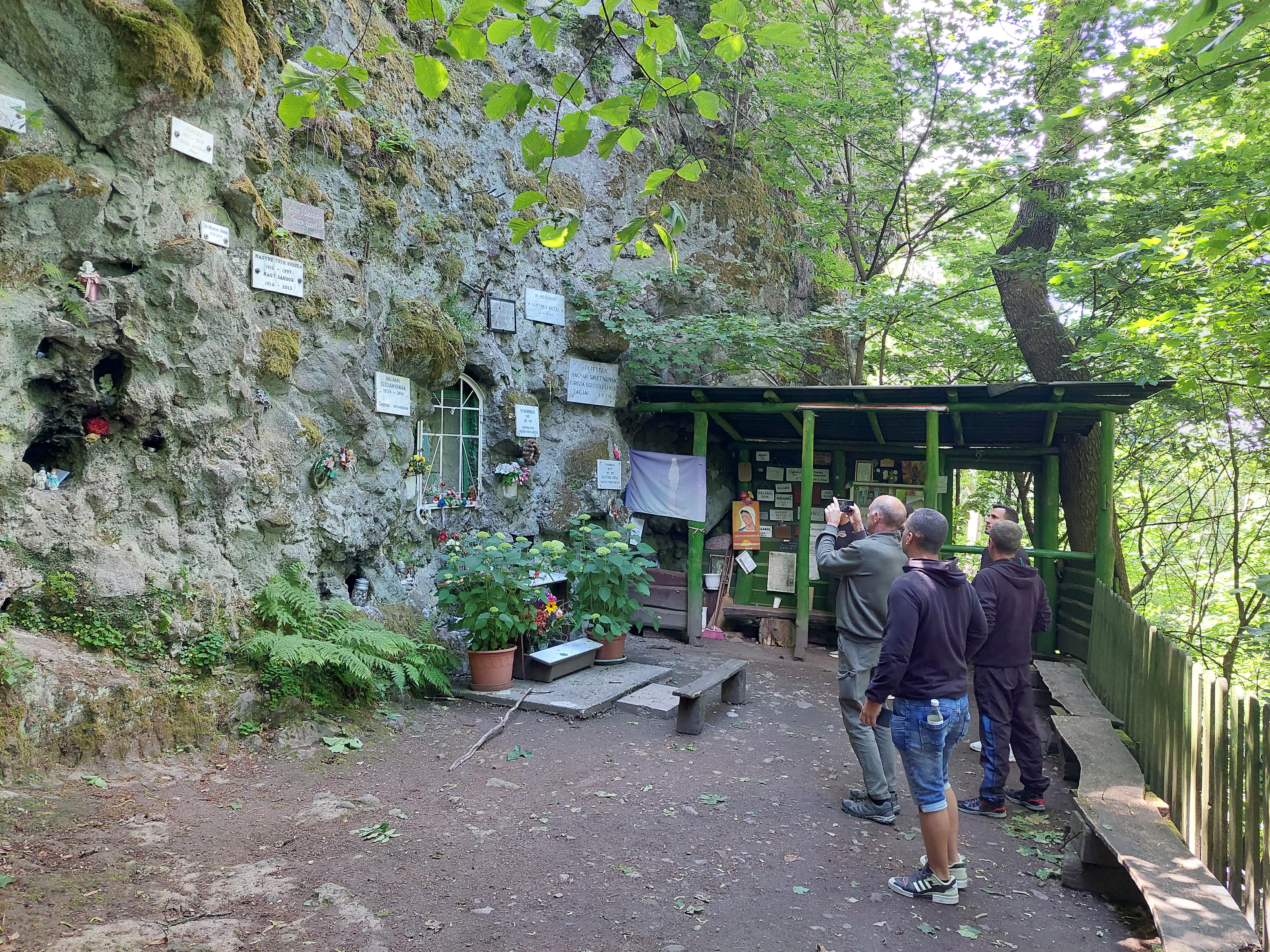20260612_135553.jpg