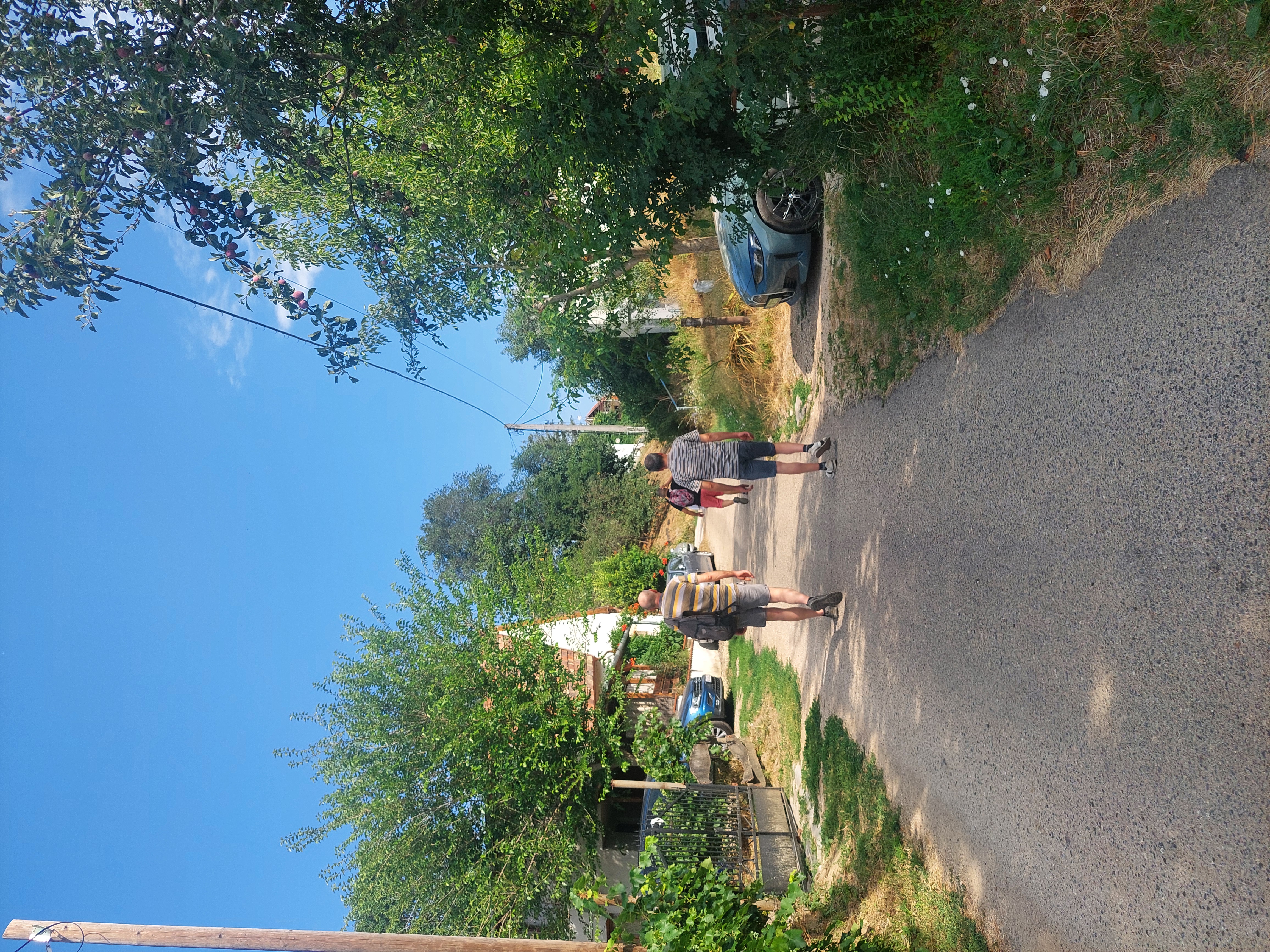 20260717_084351.jpg