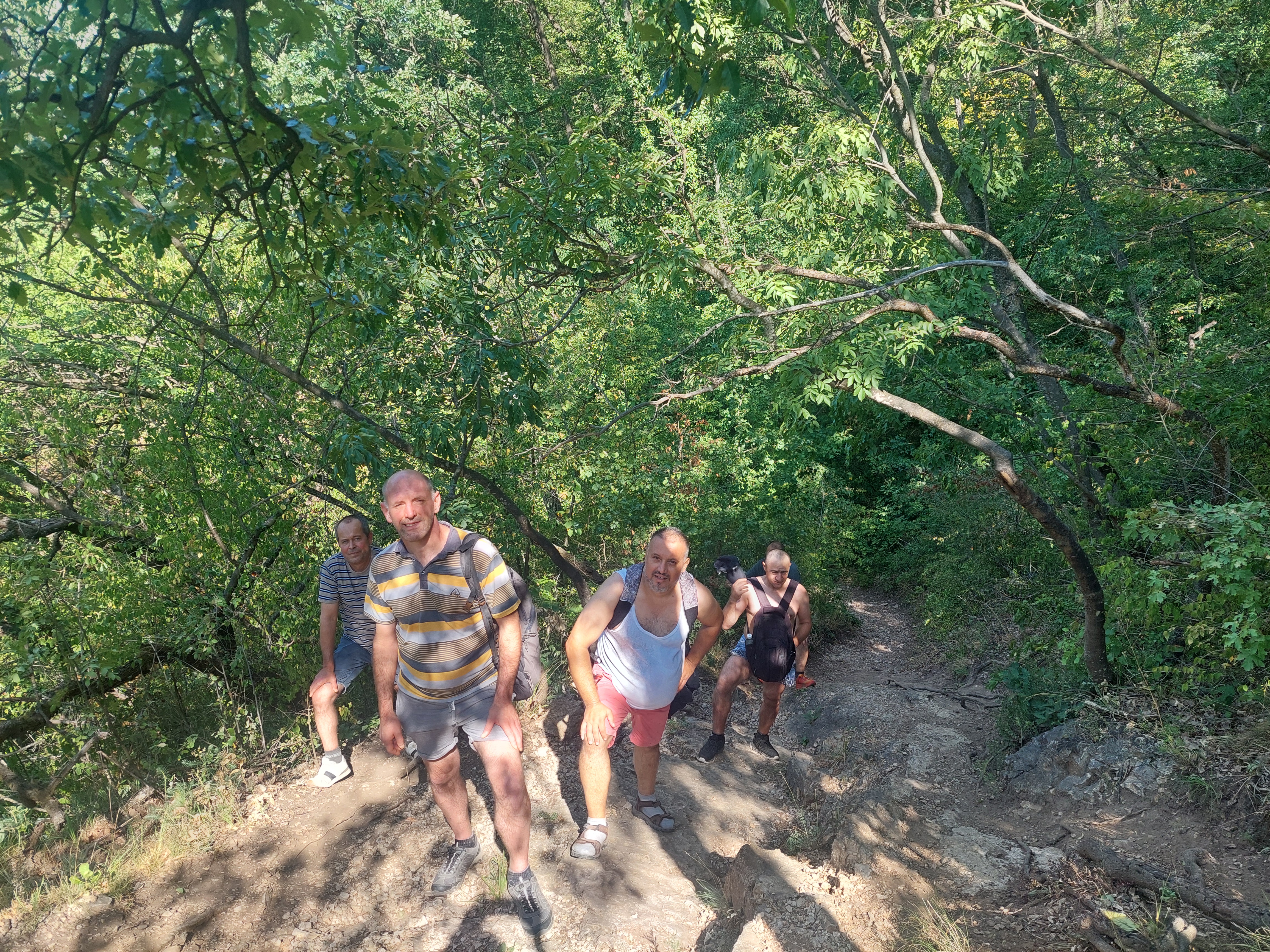 20260717_095007.jpg