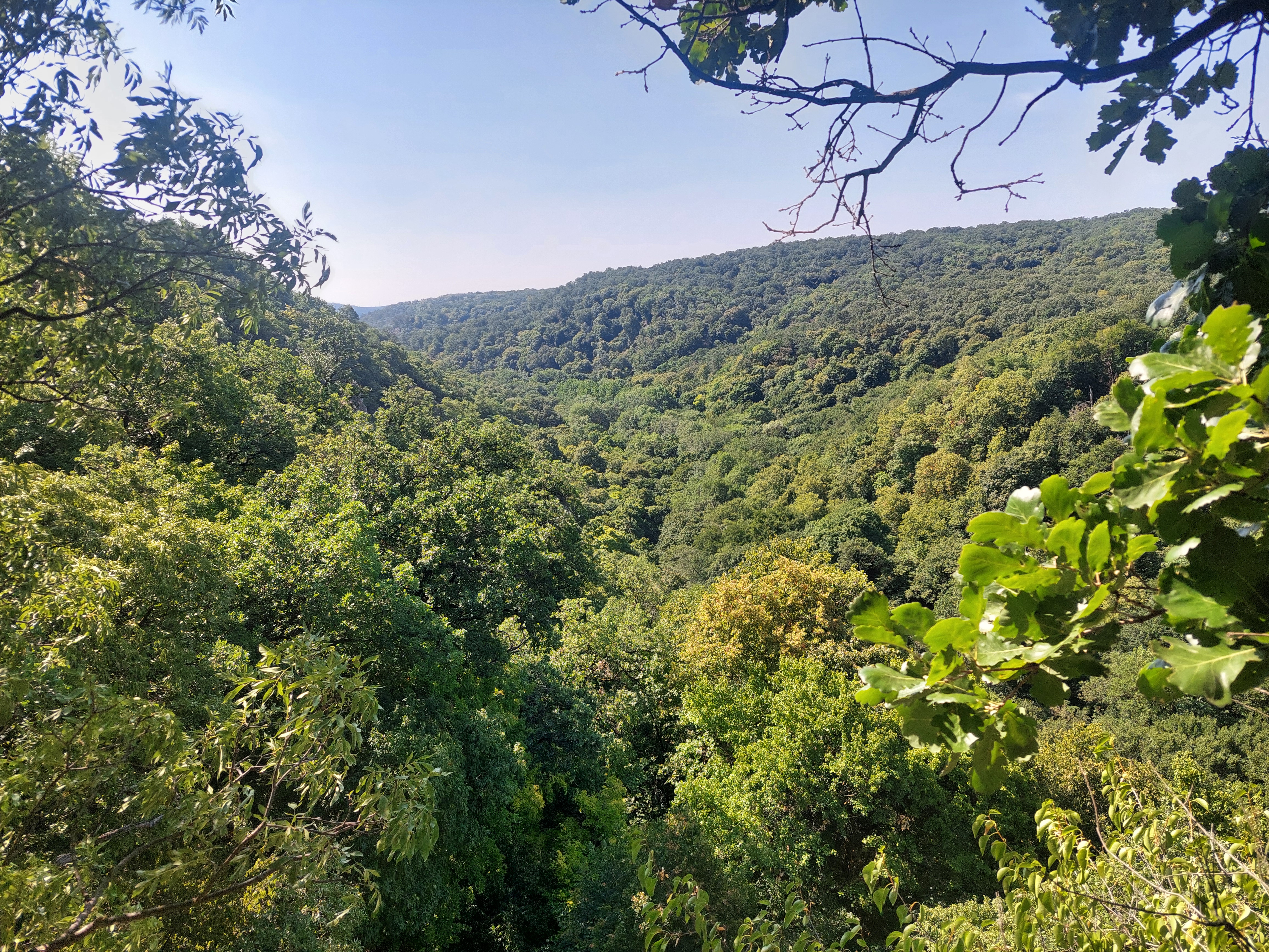 20260717_095854.jpg