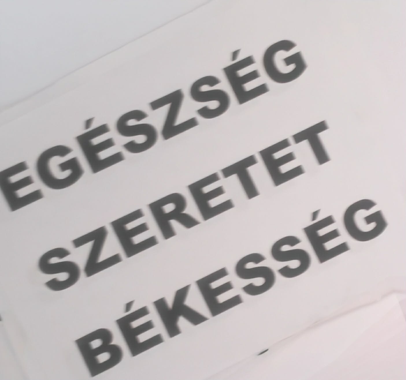 22cda289-0dd4-4090-8002-d84a7f17c318.jpeg