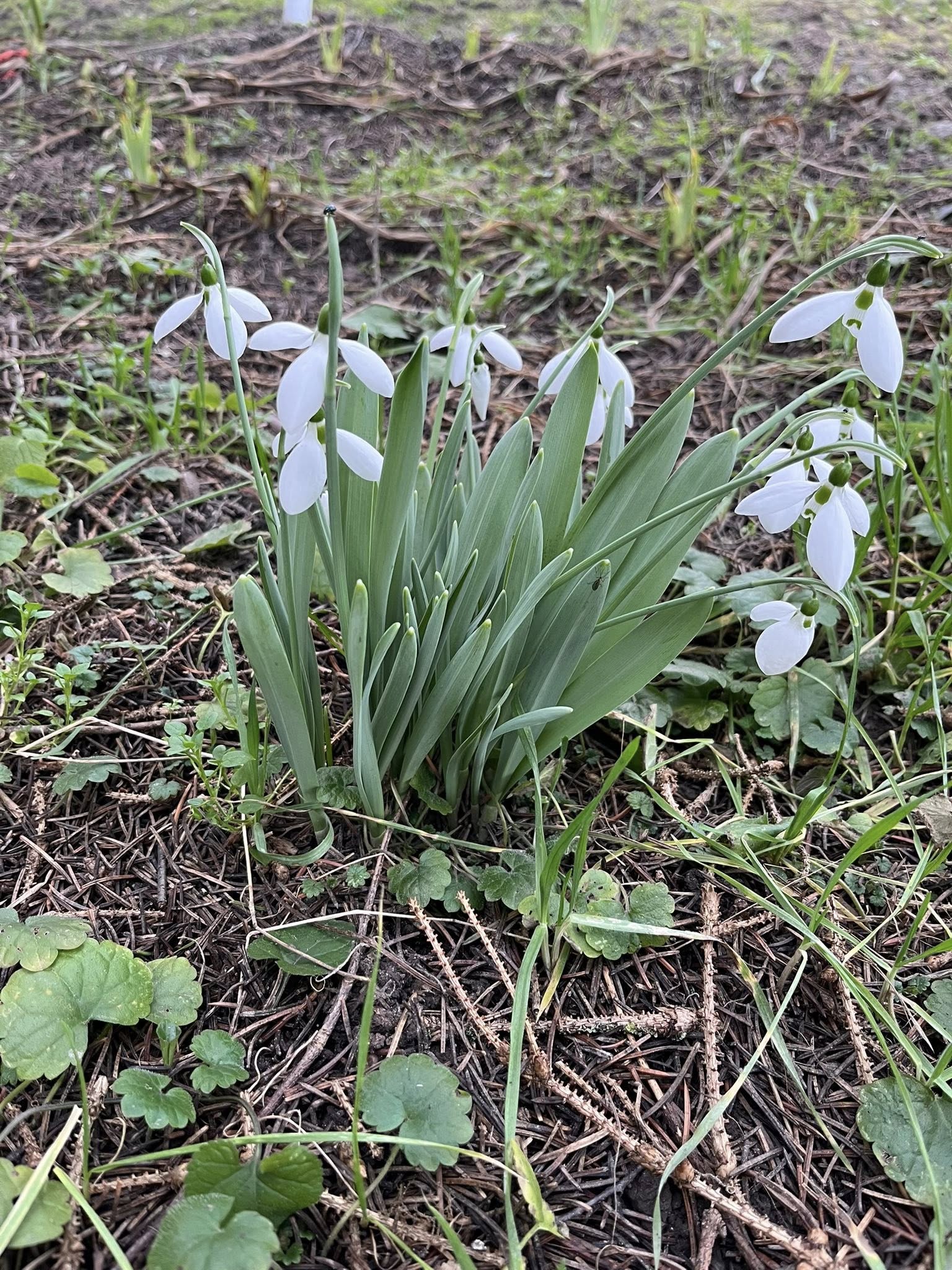 Közeledik a tavasz! :)