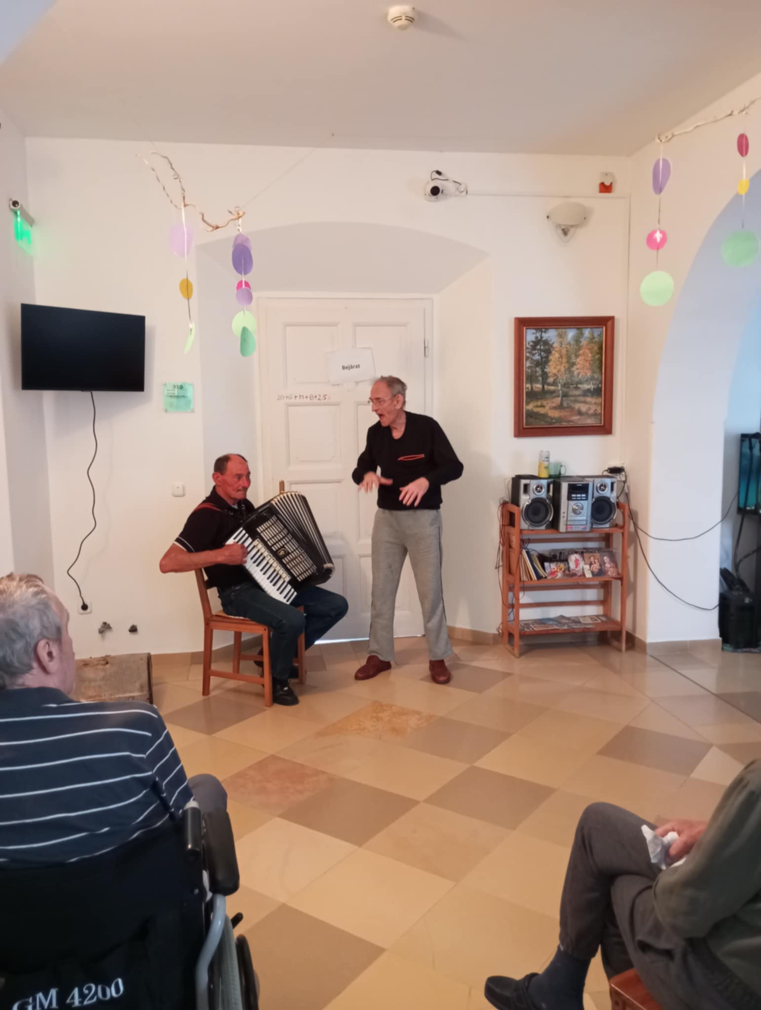 Harmónikaszó Zolival