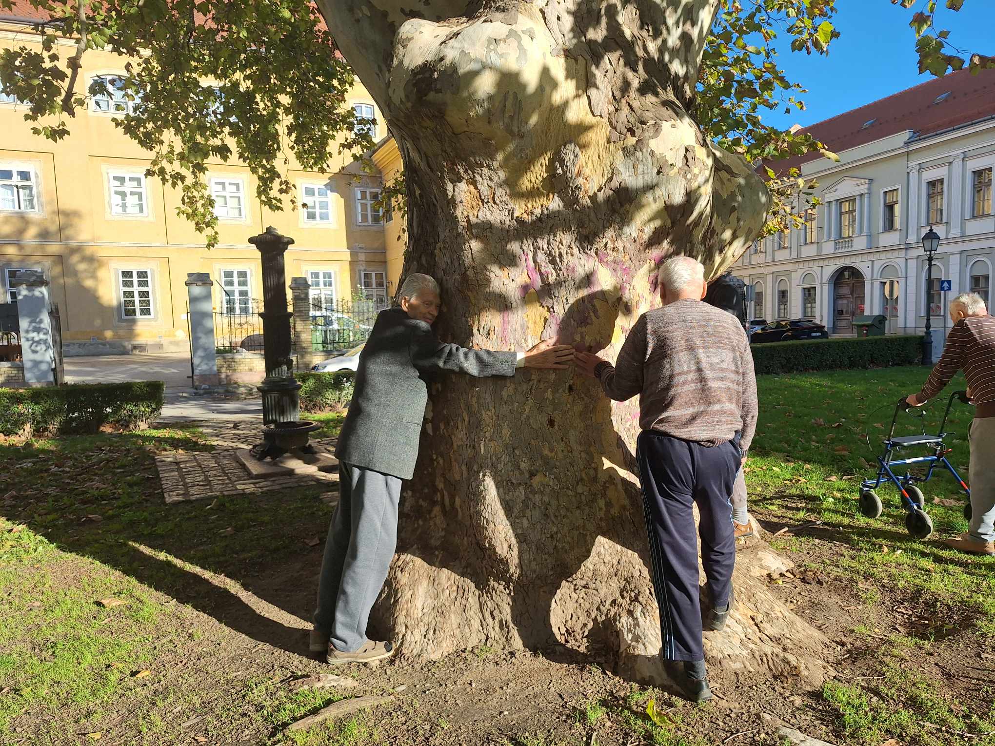 Sétatréning természetterápiával 3