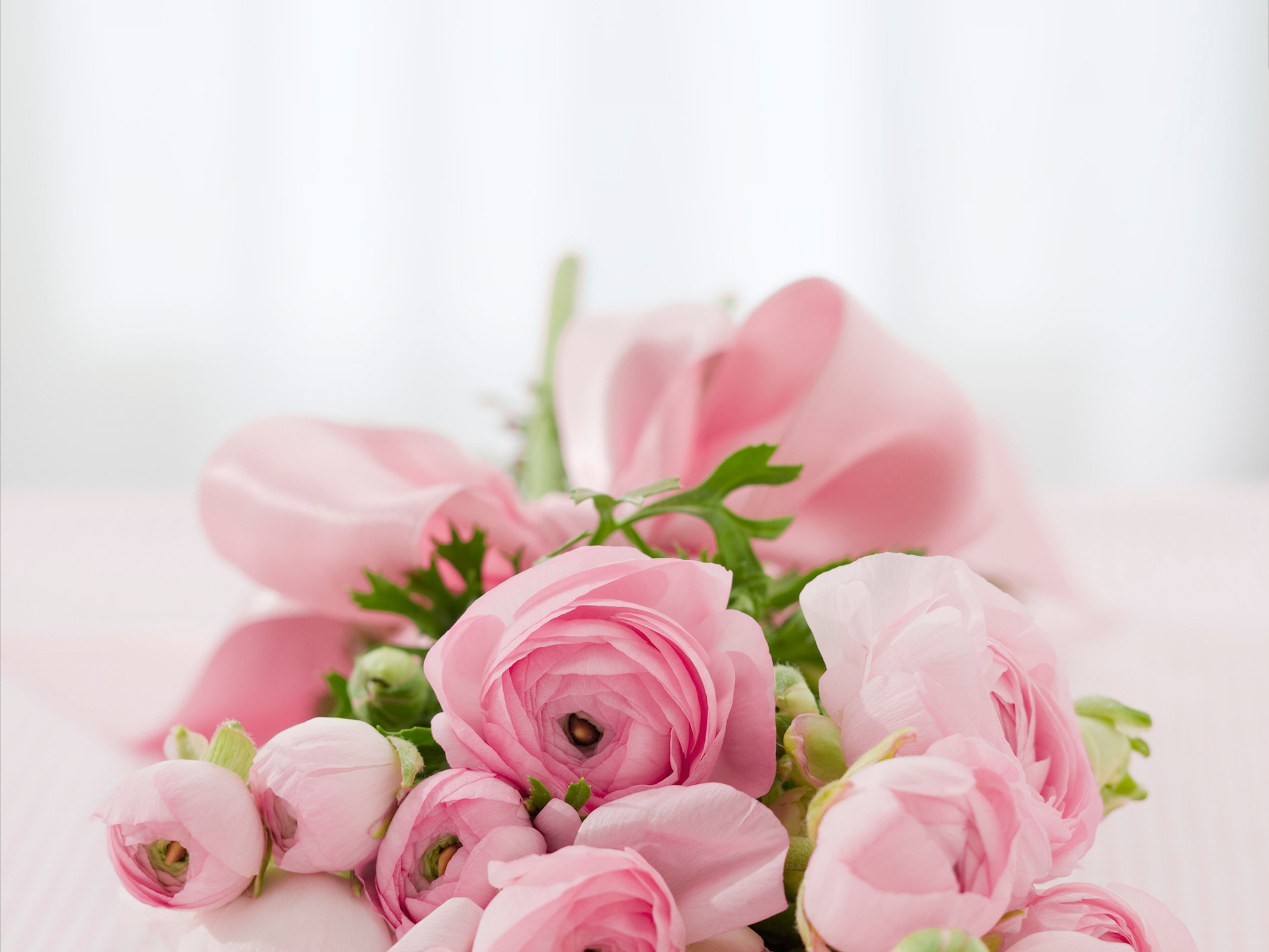 arttower-bouquet-142876.jpg