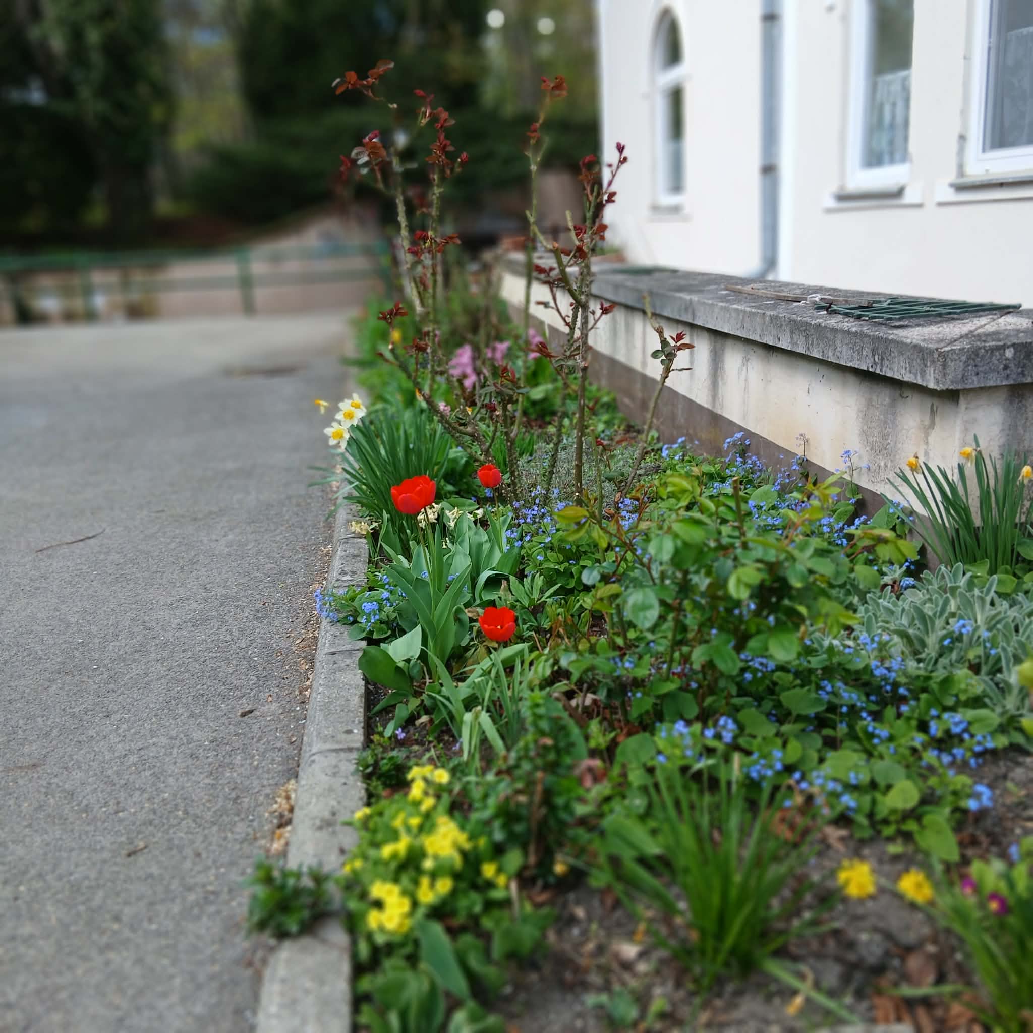 c8a4ddf2-aa50-41cd-8838-706a6af88b91.jfif