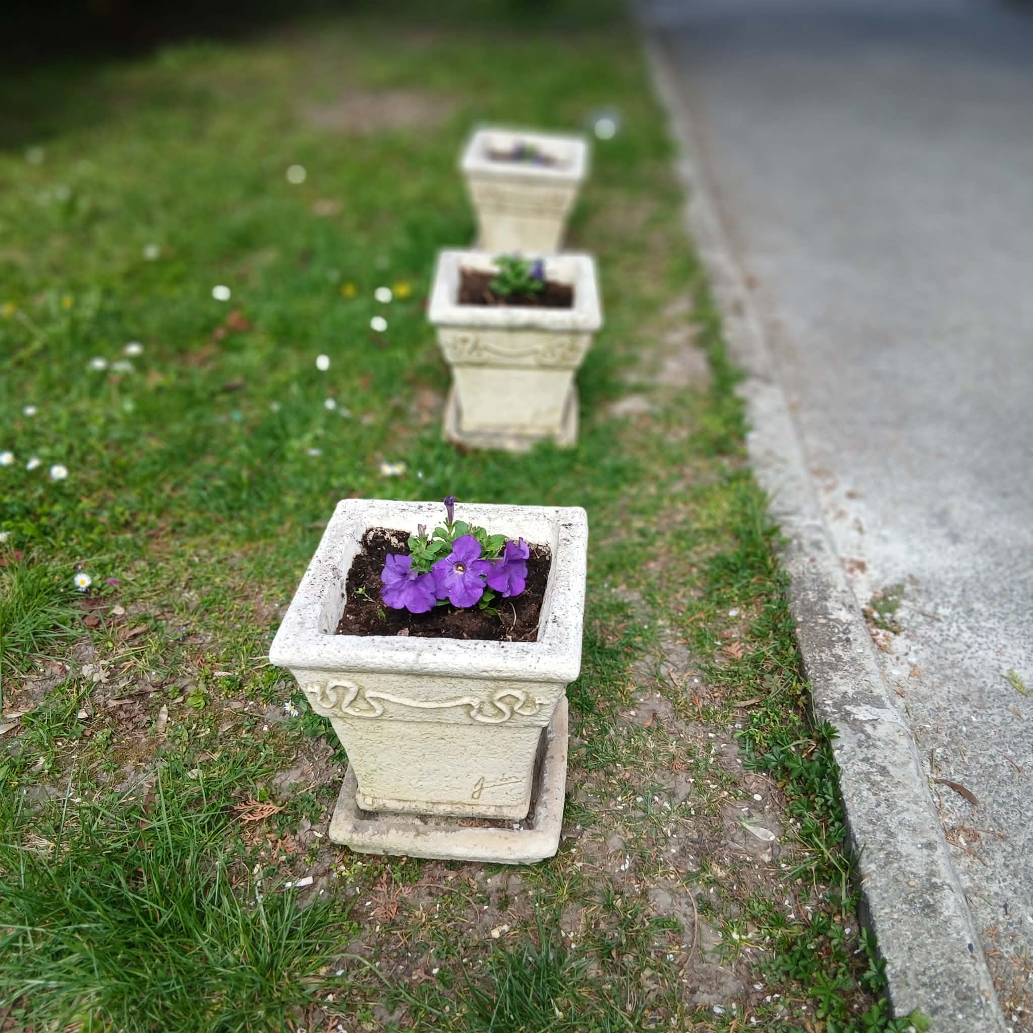 d4e741c2-bc08-4d1b-91fc-809a8d18eb05.jfif