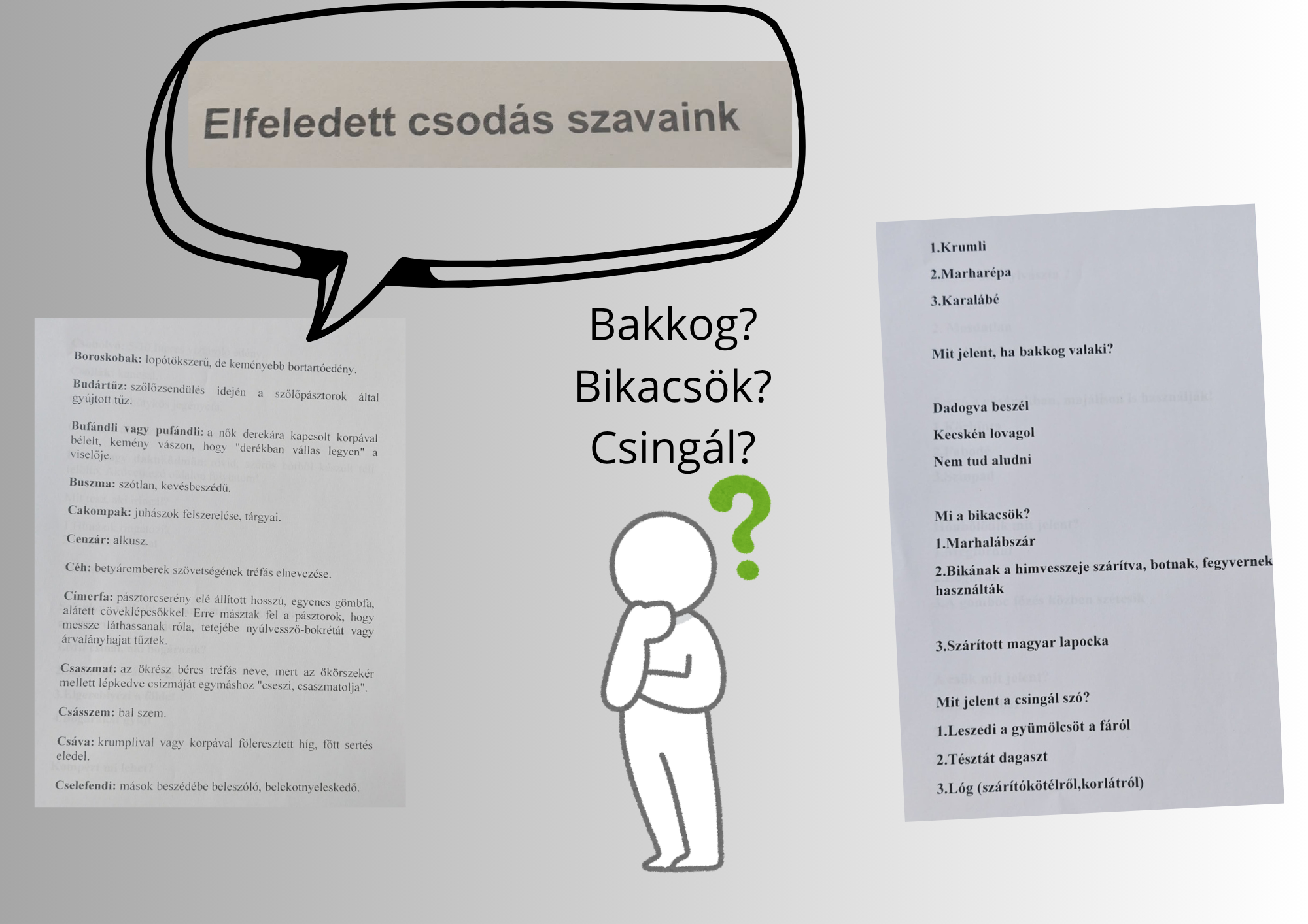 Nyelvi időutazás