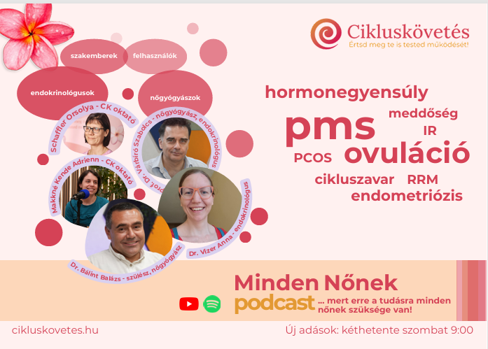 Képernyőkép 2026-04-22 134021.png