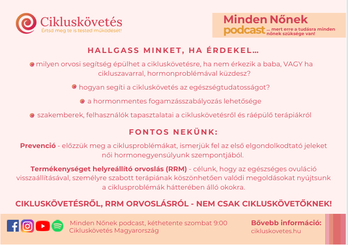 Képernyőkép 2026-04-22 134027.png