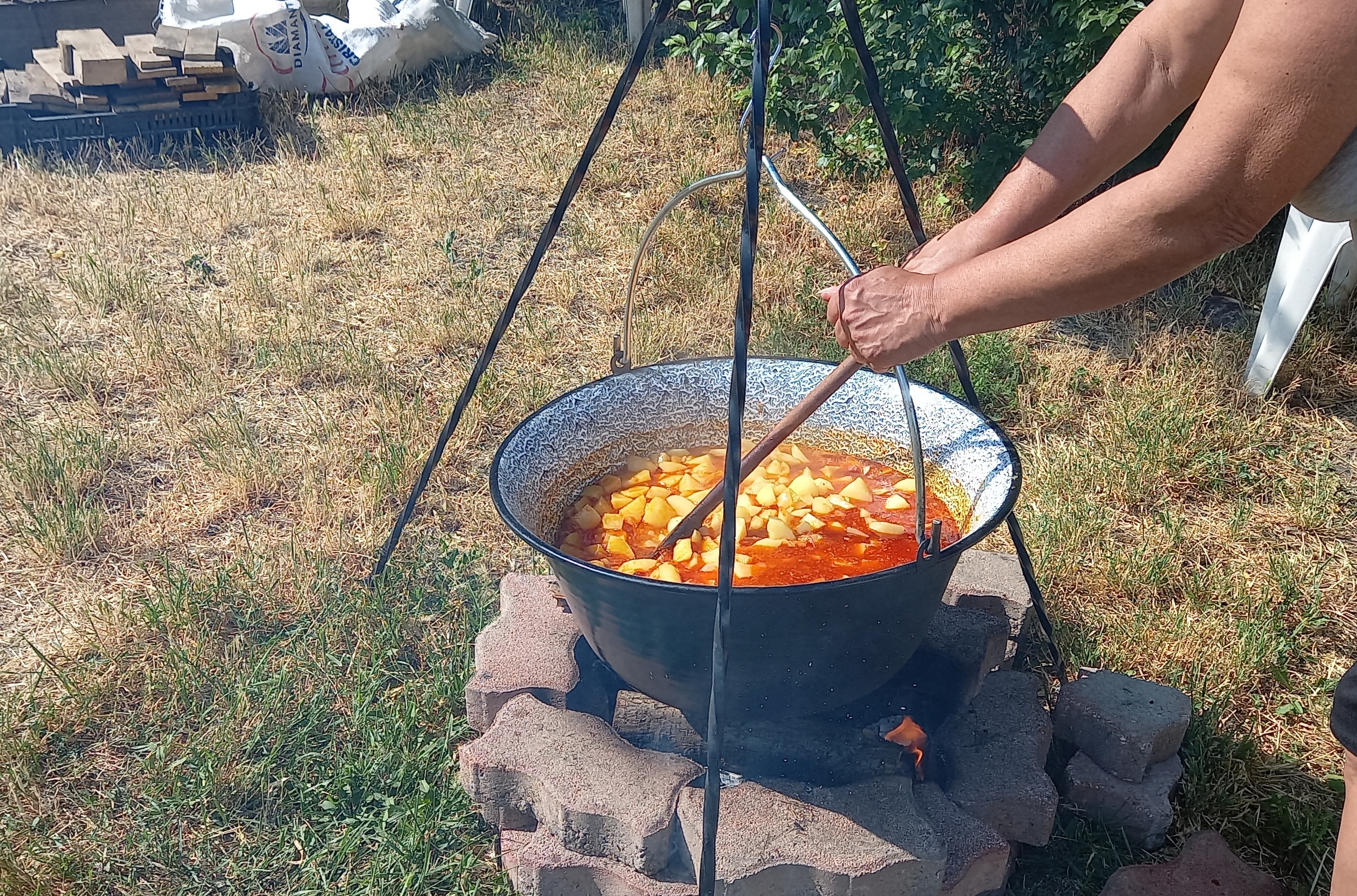Közösségi nap