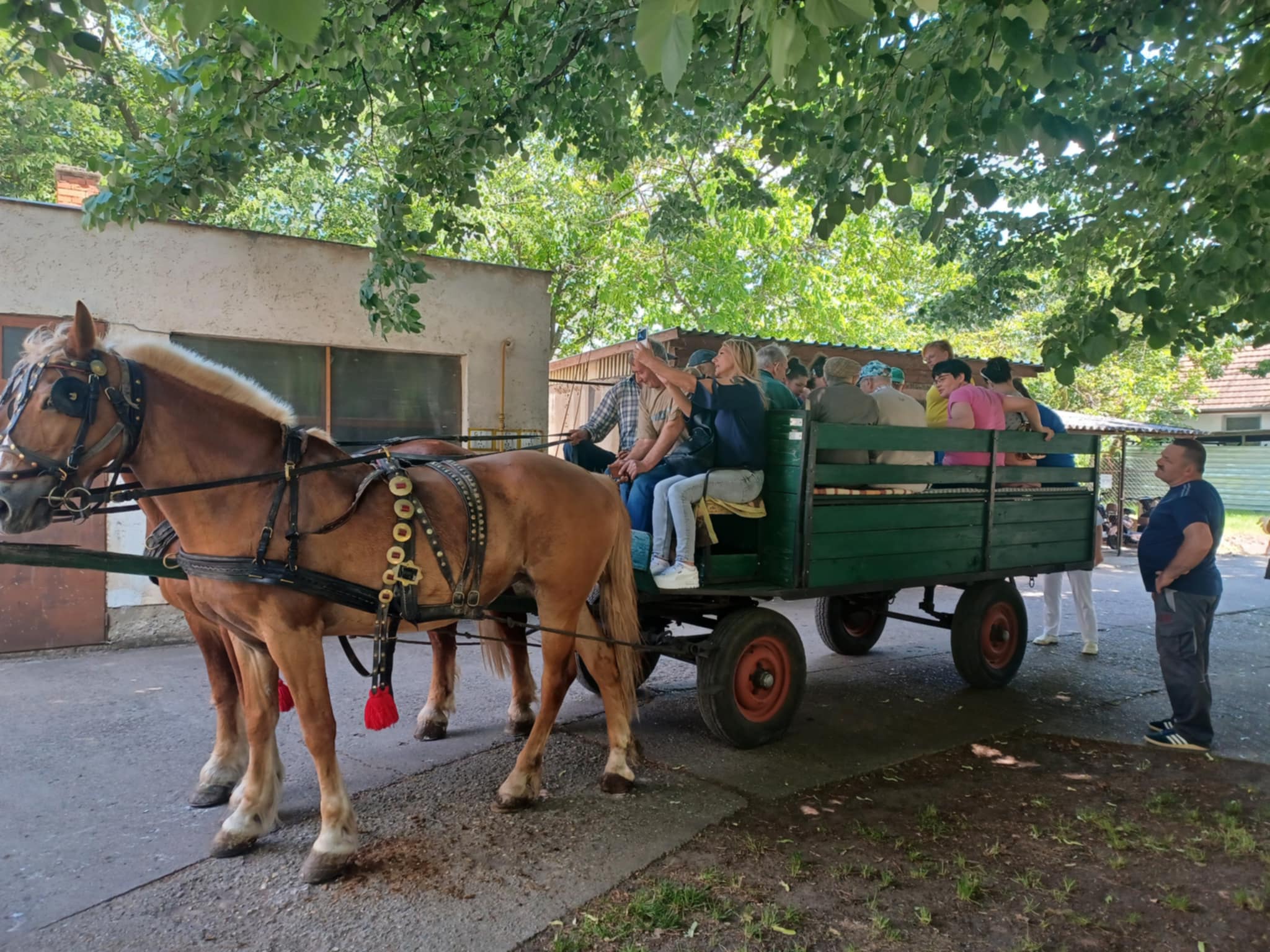 Messenger_creation_16353415-5CCD-461D-9ABB-77399EBD0560.jpeg
