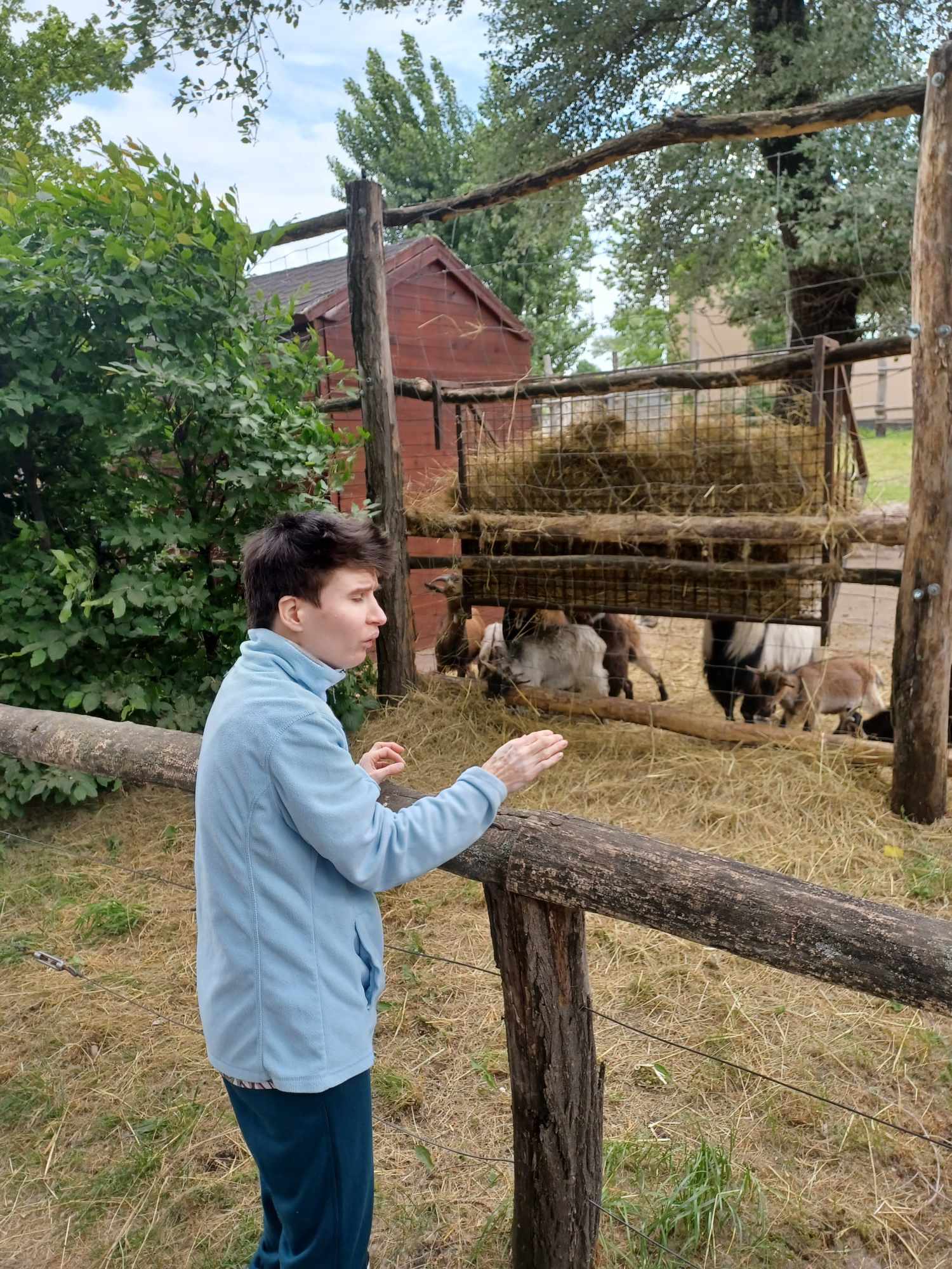 A győri Xantus János Állatkertben