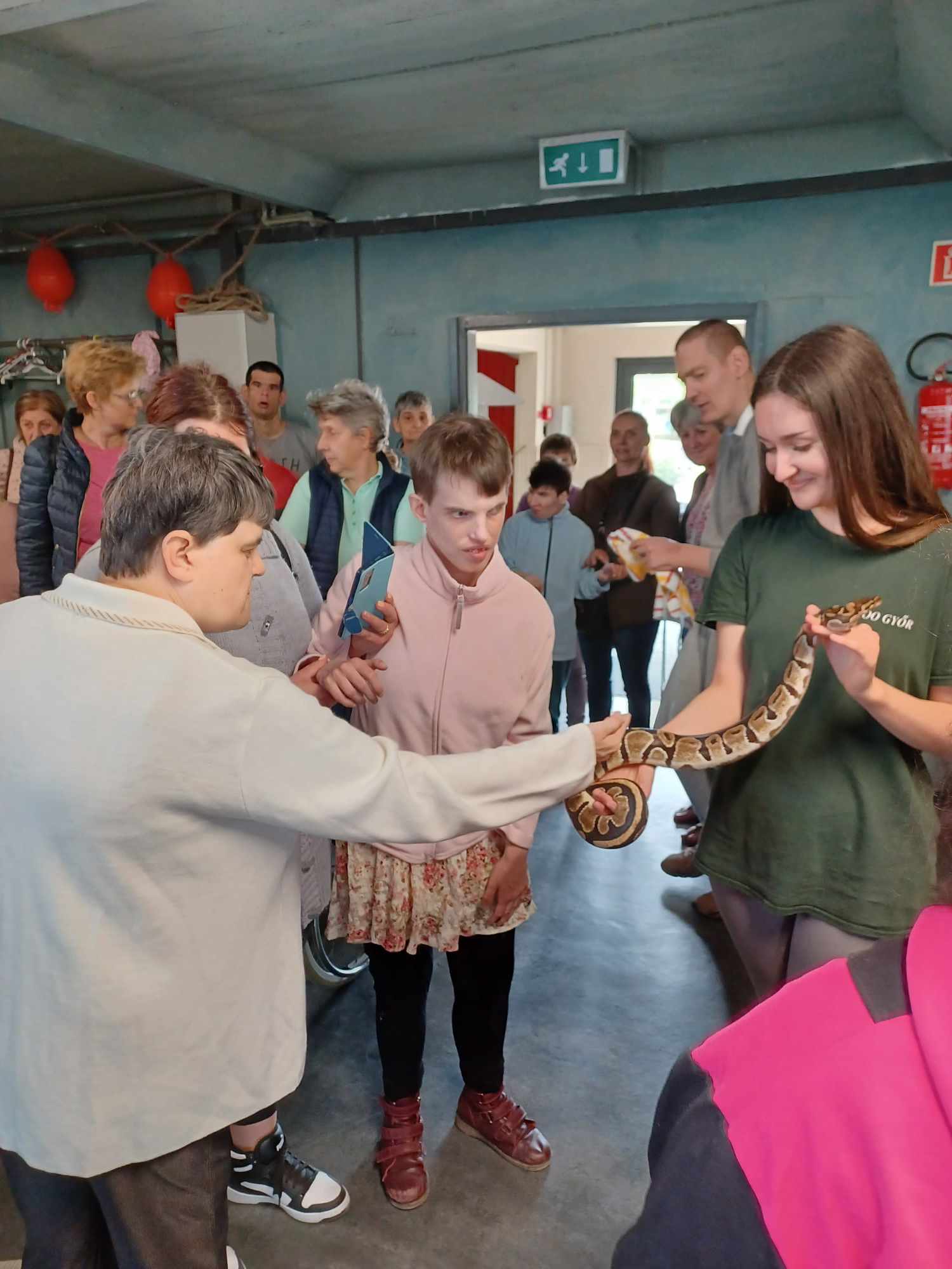 A győri Xantus János Állatkertben